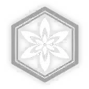 240229_hua1 (4)