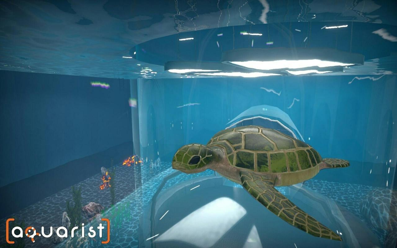 Steam水族箱建造Aquarist 经营水族馆打造水族缸 造景、鱼种选择全都自己来