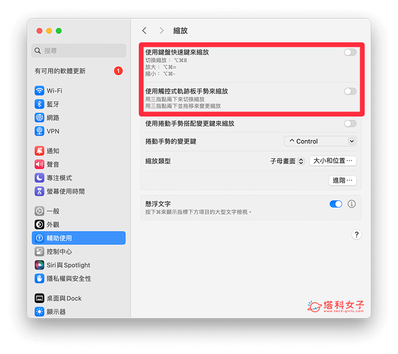 Mac 放大镜关闭：关闭选项