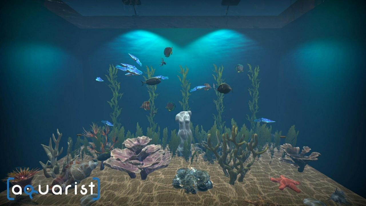 Steam水族箱建造Aquarist 经营水族馆打造水族缸 造景、鱼种选择全都自己来