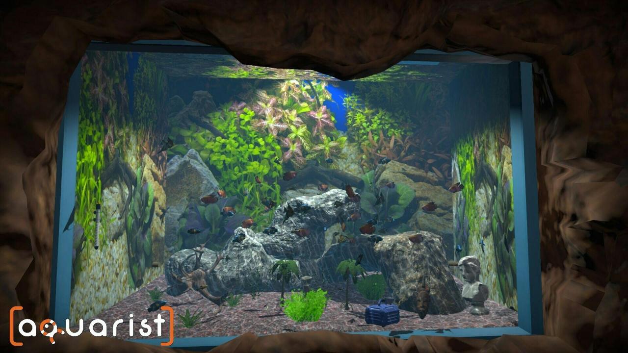 Steam水族箱建造Aquarist 经营水族馆打造水族缸 造景、鱼种选择全都自己来