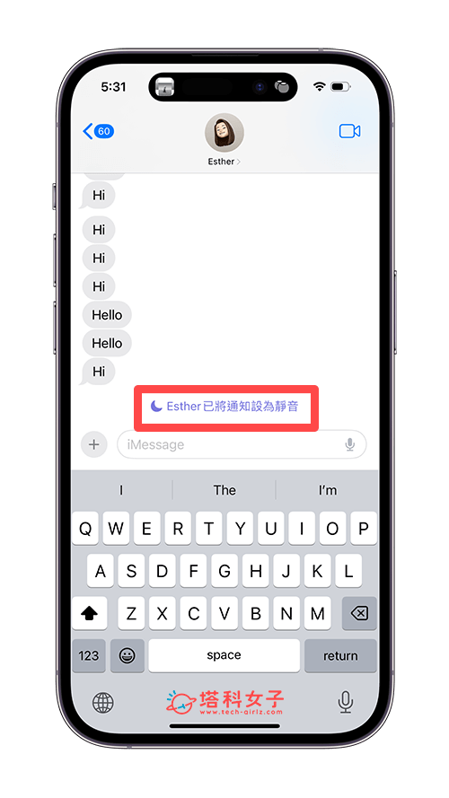 iMessage 已将通知设为静音的提示