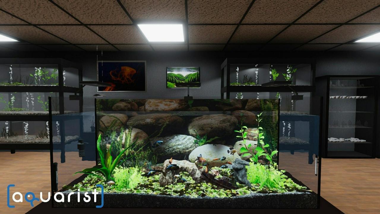 Steam水族箱建造Aquarist 经营水族馆打造水族缸 造景、鱼种选择全都自己来