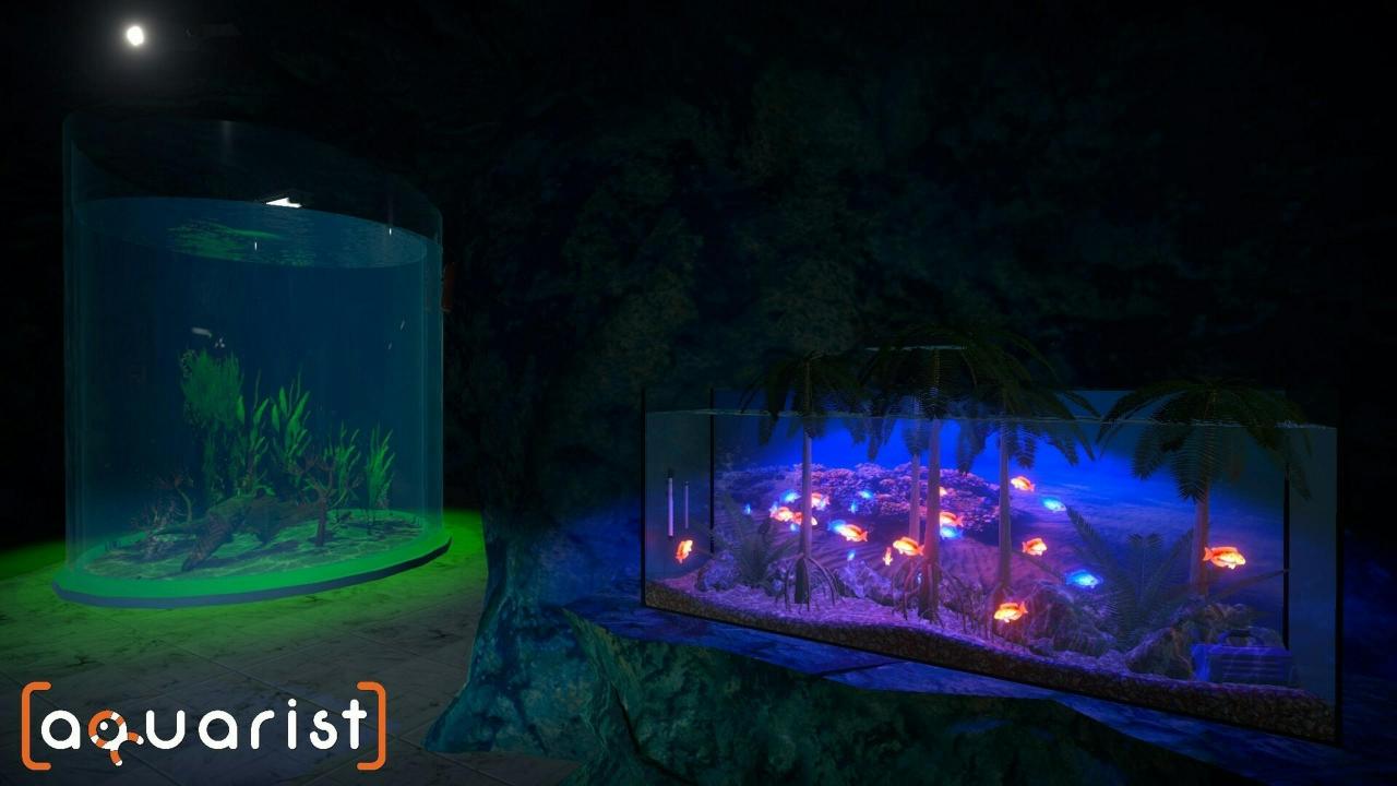 Steam水族箱建造Aquarist 经营水族馆打造水族缸 造景、鱼种选择全都自己来