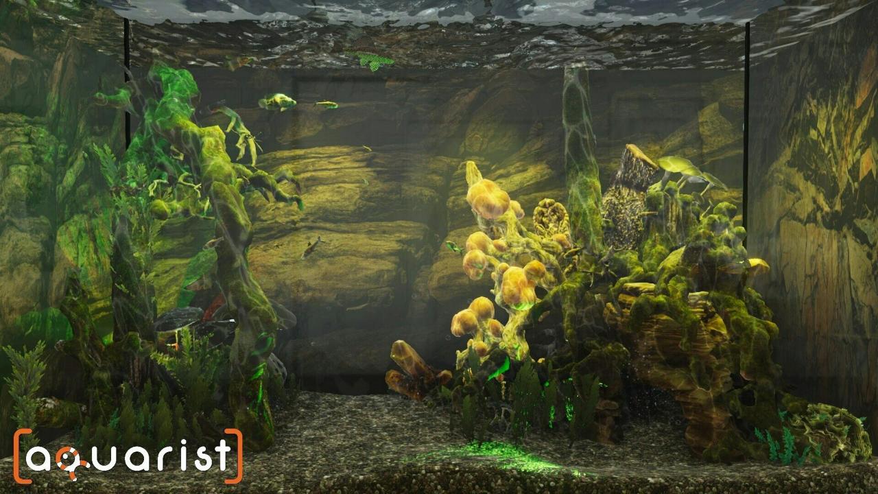 Steam水族箱建造Aquarist 经营水族馆打造水族缸 造景、鱼种选择全都自己来
