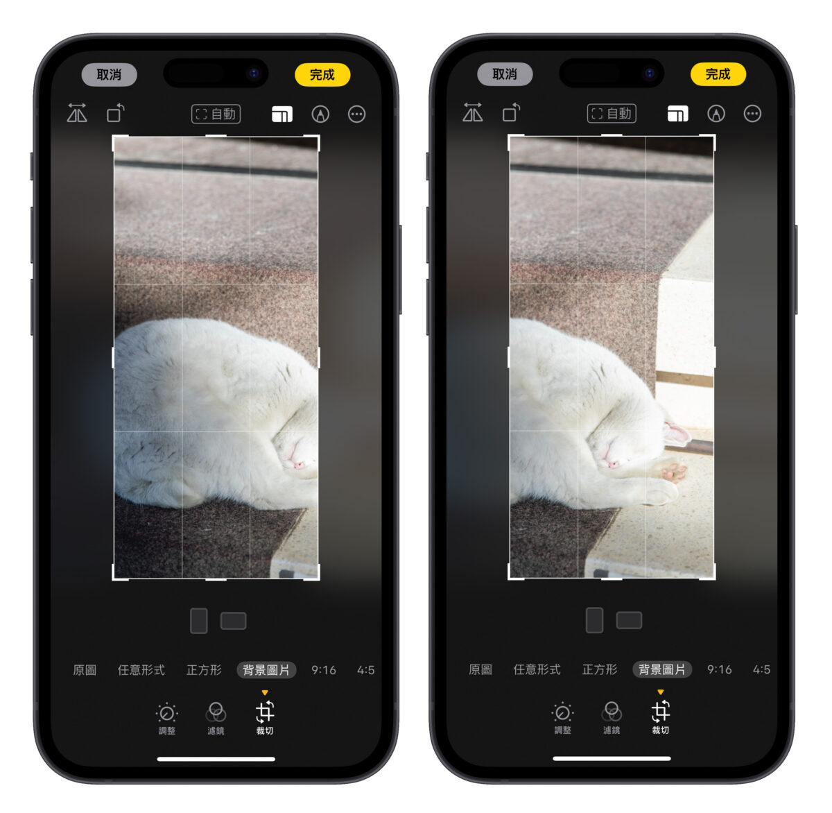 iPhone iOS 壁纸 iPhone 壁纸尺寸