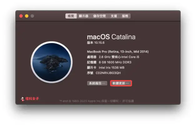 Safari 14 让你能自定义浏览器背景图片，并控制要显示的常用功能 第2张