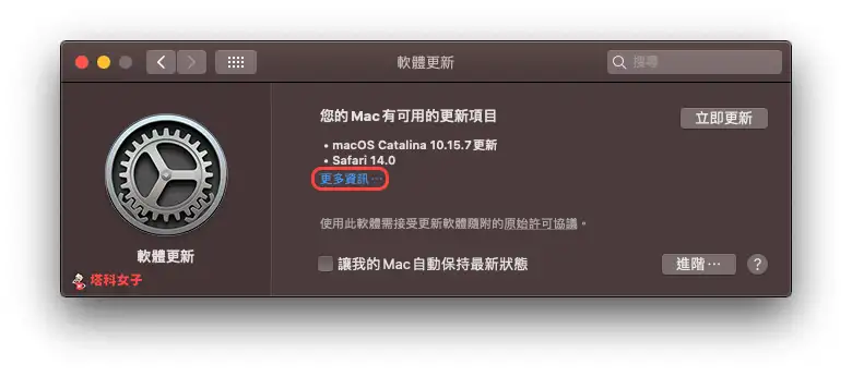 Safari 14 让你能自定义浏览器背景图片，并控制要显示的常用功能 第3张