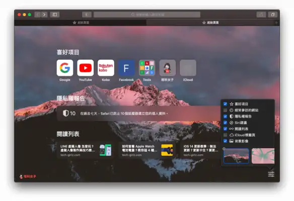 Safari 14 让你能自定义浏览器背景图片，并控制要显示的常用功能 第8张