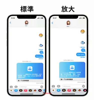 如何将 iPhone App 图示变大？教你使用放大模式及屏幕缩放 第8张