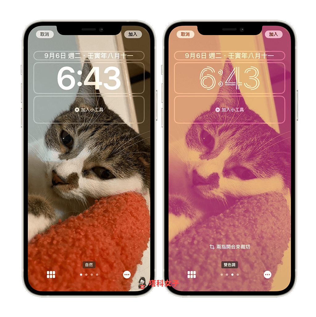iPhone 锁定壁纸自动更换教程，让锁屏随机显示照片 (iOS 16) 第6张