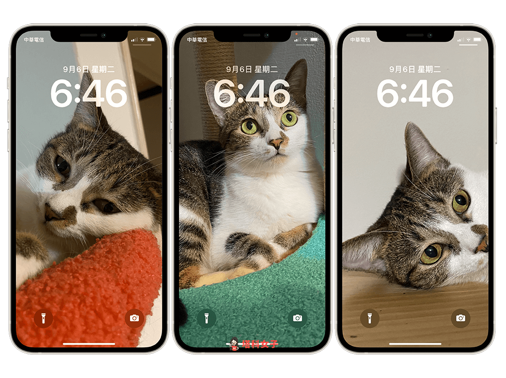 iPhone 锁定壁纸自动更换教程，让锁屏随机显示照片 (iOS 16) 第9张