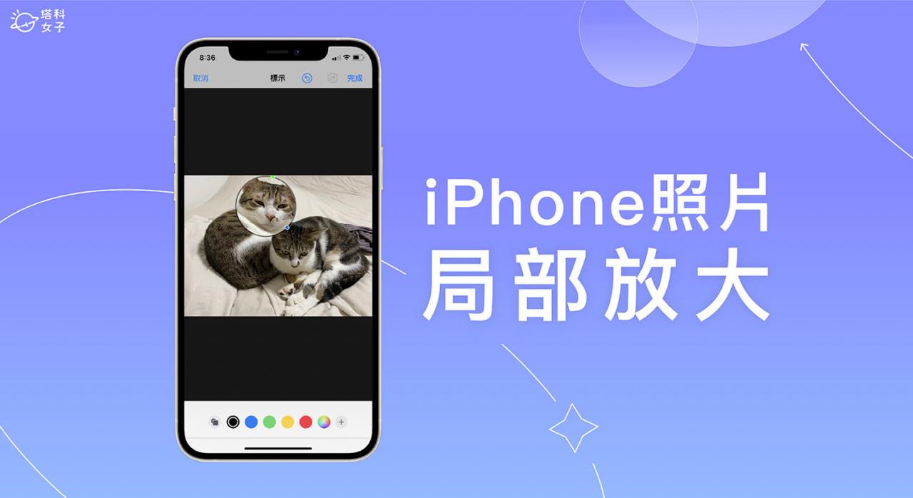iPhone 局部放大及局部截图怎么用？iPhone 照片放大镜使用教程！ 第1张