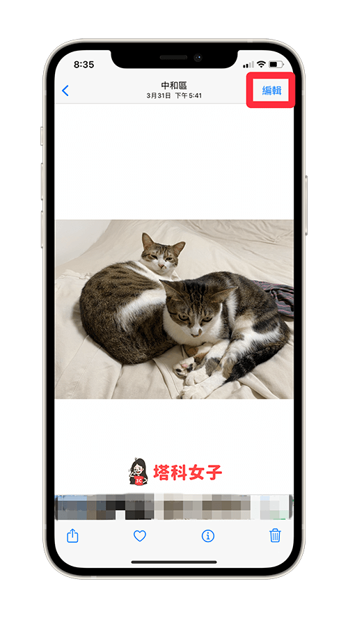 iPhone 局部放大及局部截图怎么用？iPhone 照片放大镜使用教程！ 第2张