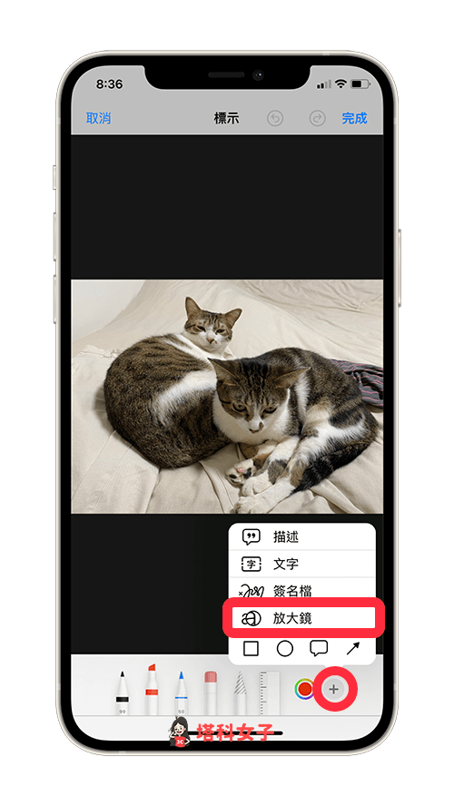 iPhone 局部放大及局部截图怎么用？iPhone 照片放大镜使用教程！ 第4张