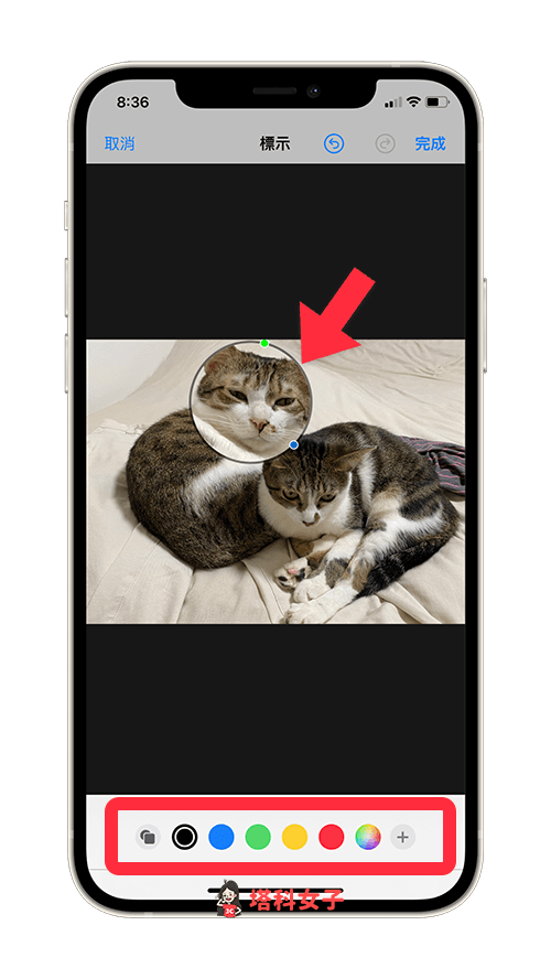 iPhone 局部放大及局部截图怎么用？iPhone 照片放大镜使用教程！ 第5张