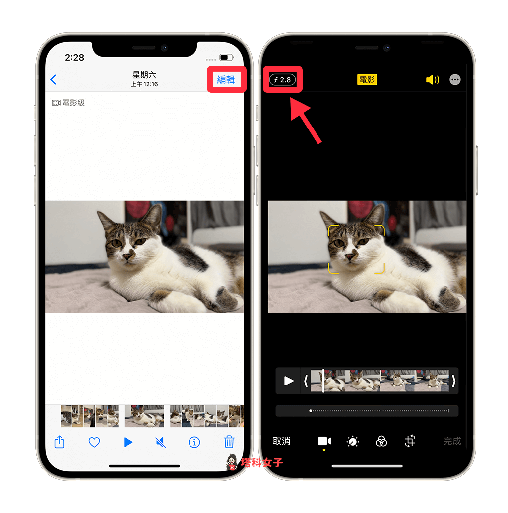 iPhone 电影模式怎么用？拍摄、变更焦点与后製编辑景深教程 第6张