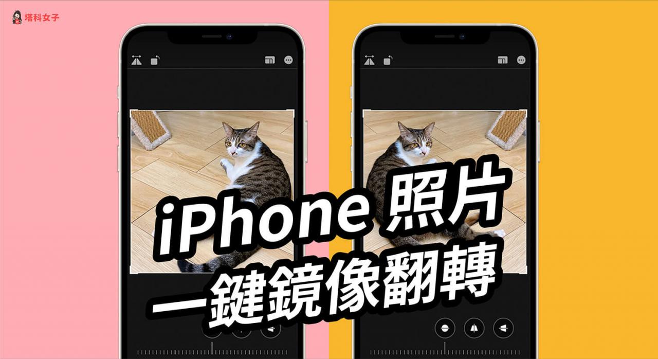 iPhone 照片如何镜像翻转、左右相反？教你用 iOS 内置功能编辑 第1张