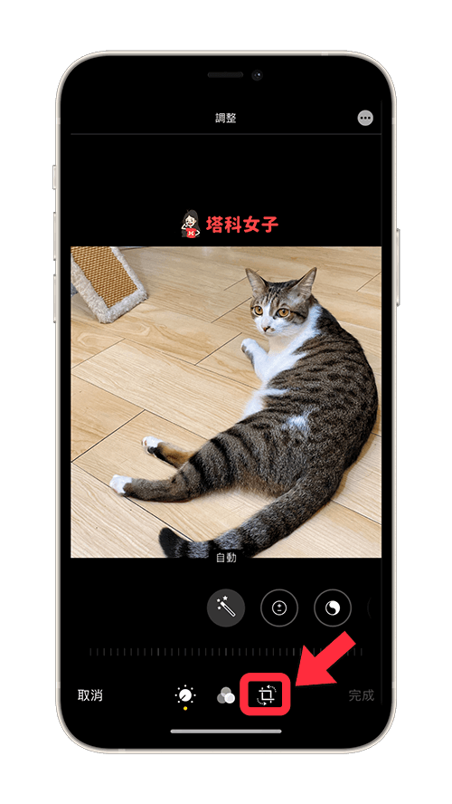 iPhone 照片如何镜像翻转、左右相反？教你用 iOS 内置功能编辑 第3张