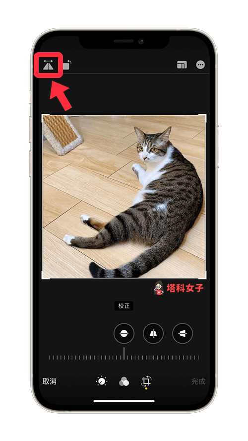 iPhone 照片如何镜像翻转、左右相反？教你用 iOS 内置功能编辑 第4张