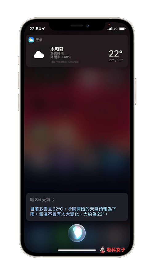 Siri 如何显示文字与对话内容？教你开启设置 (iOS 14) 第6张