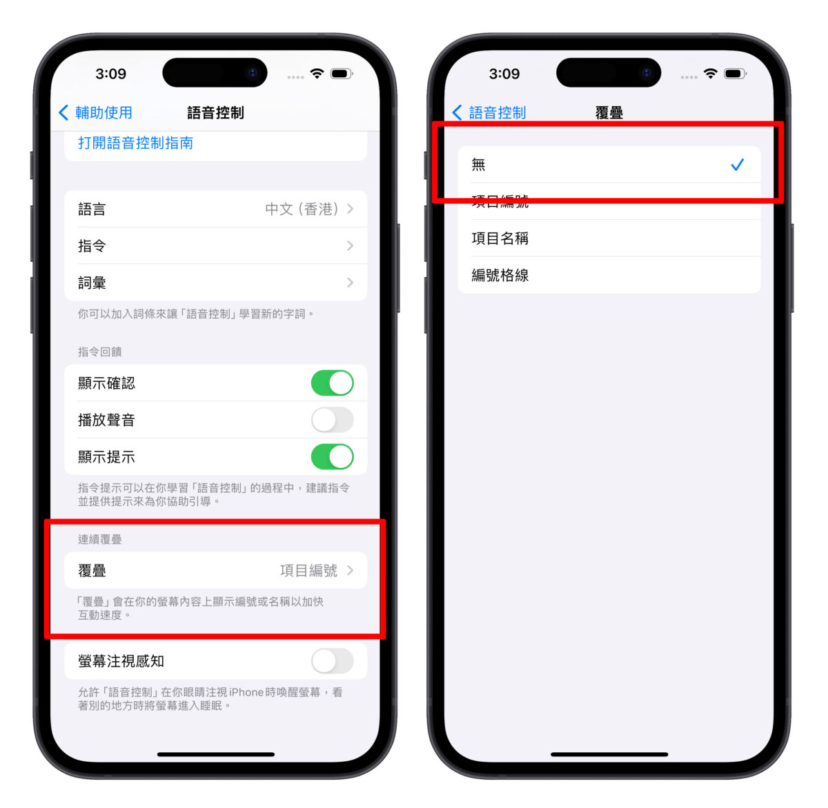 iPhone 画面一直出现数字，调整「语音控制」设置即可快速解决 第6张