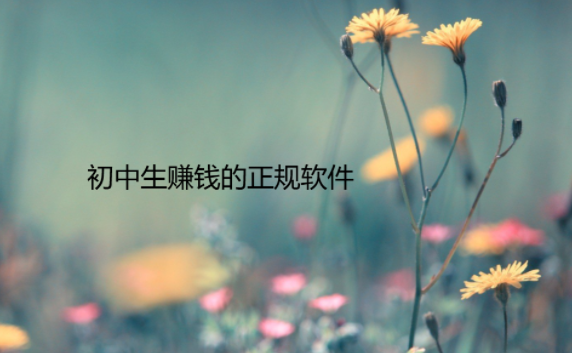 初中生赚钱的正规软件，这几个赚钱软件都比较合适 第1张