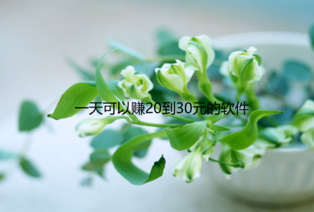 什么软件一天能挣20到30元，分享几款一天可以赚20到30元的软件 第1张