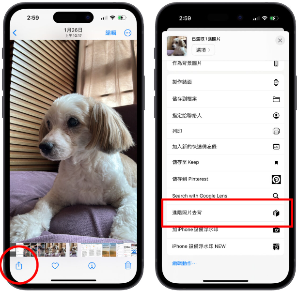 iPhone进阶照片去背捷径分享：不只去背景、还能直接换背景 第8张