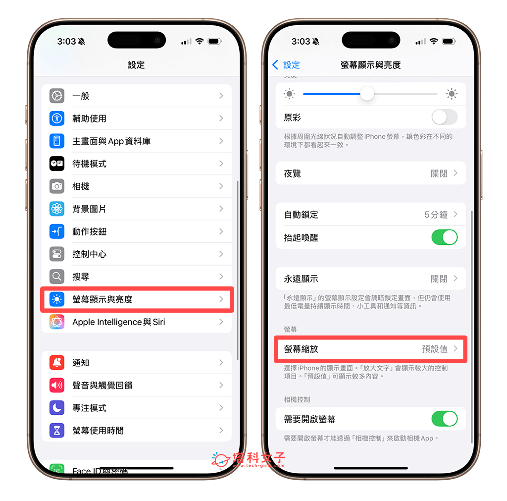调整 iPhone 屏幕缩放：设置 > 屏幕显示与亮度 > 屏幕缩放