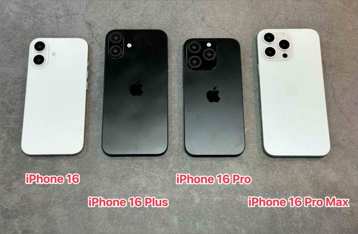苹果16手机多大尺寸？iPhone16尺寸传闻：4款尺寸都各不同 第2张