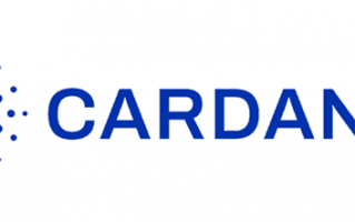 新公链Cardano崛起，带动NFT市场暴涨