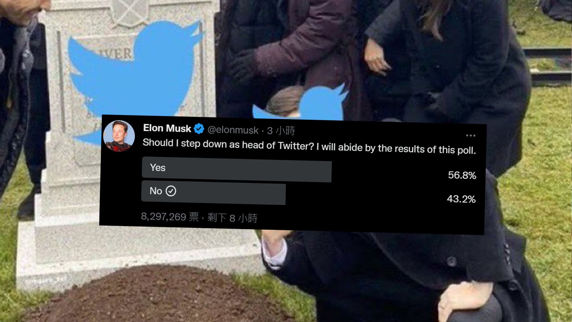 (图源:@elonmusk)
