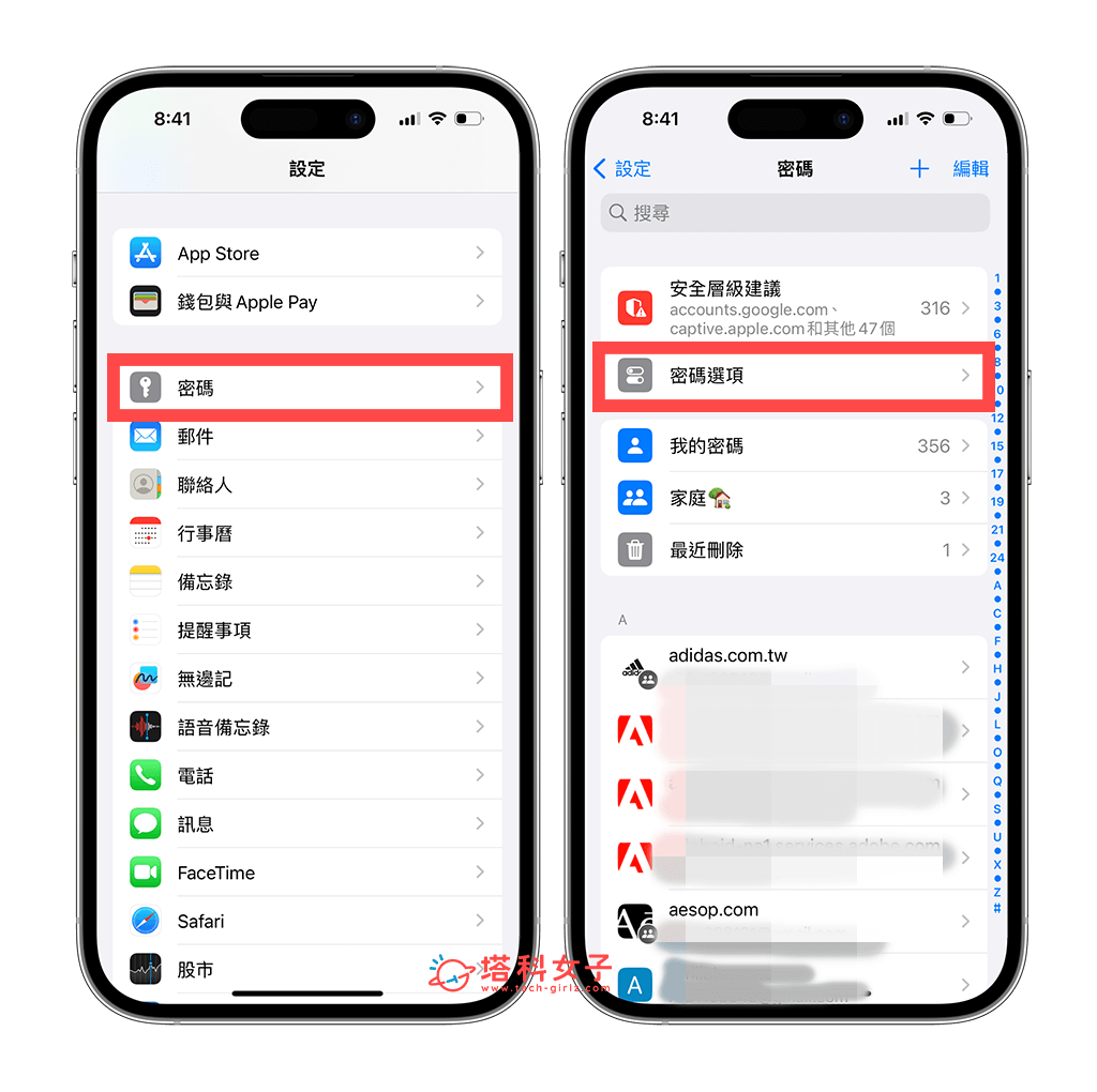 iPhone 打开自动填入密码功能：密码 ></span> 密码选项