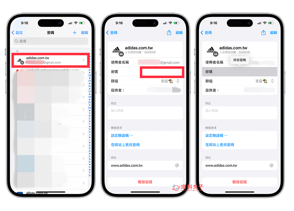 iPhone 查看已储存密码